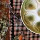 Assiettes à huîtres