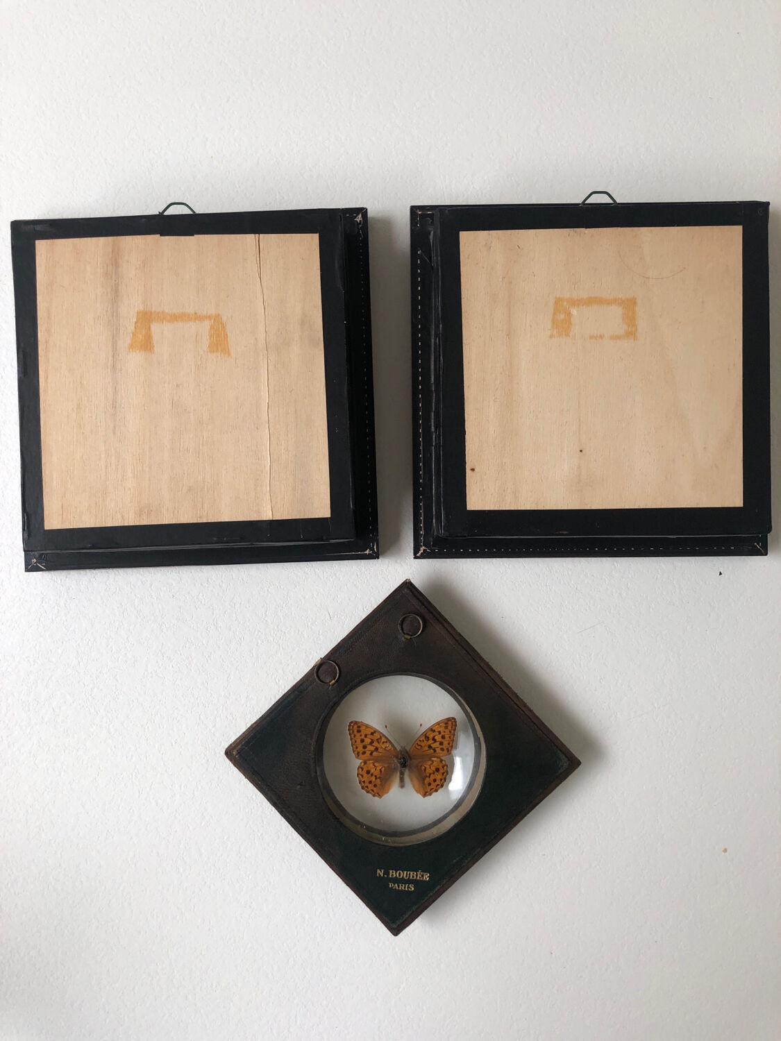 Lot of stuffed butterflies