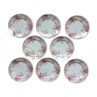 Series of 8 flat plates Iron Earth
