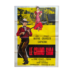 Affiche cinéma Le Grand Sam