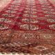 Authentic antique Turkmen Tekke rug 134cm x 183cm - Gul motifs (1C1197)