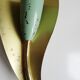 Wall lamps brass in pastel green