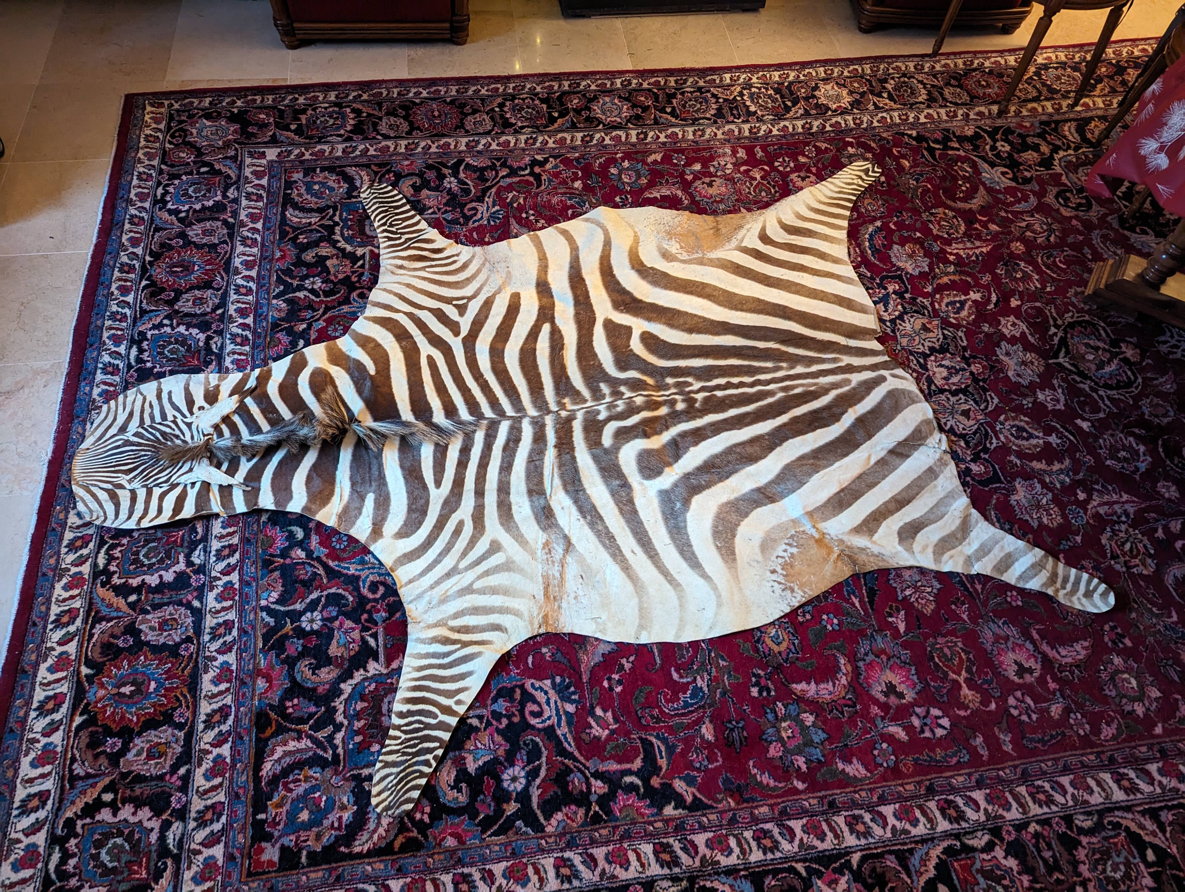 Real zebra skin rug
