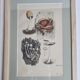 Two old engravings of watercolor mushrooms nineteenth century after G. Bernard