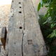 Carpenter old oak workbench