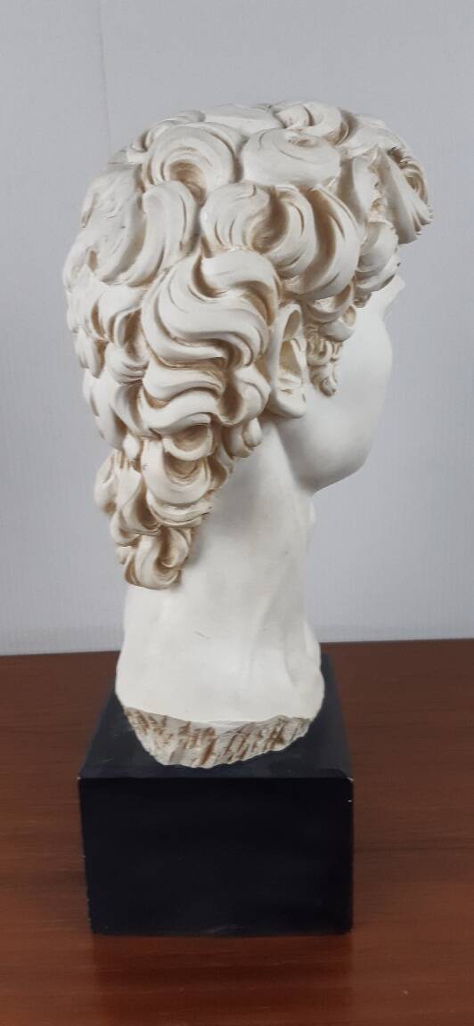 Large vintage bust "David" by Michelangelo