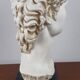 Large vintage bust "David" by Michelangelo