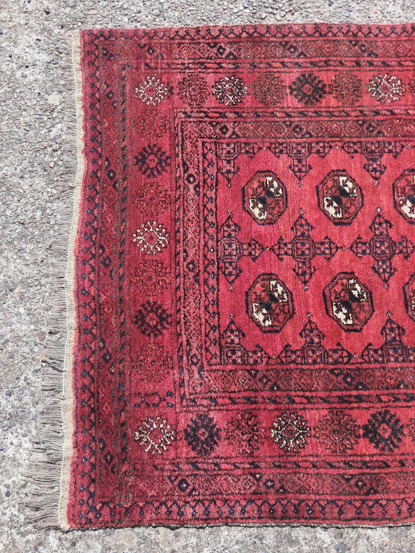 Tapis afghan, moyenne taille