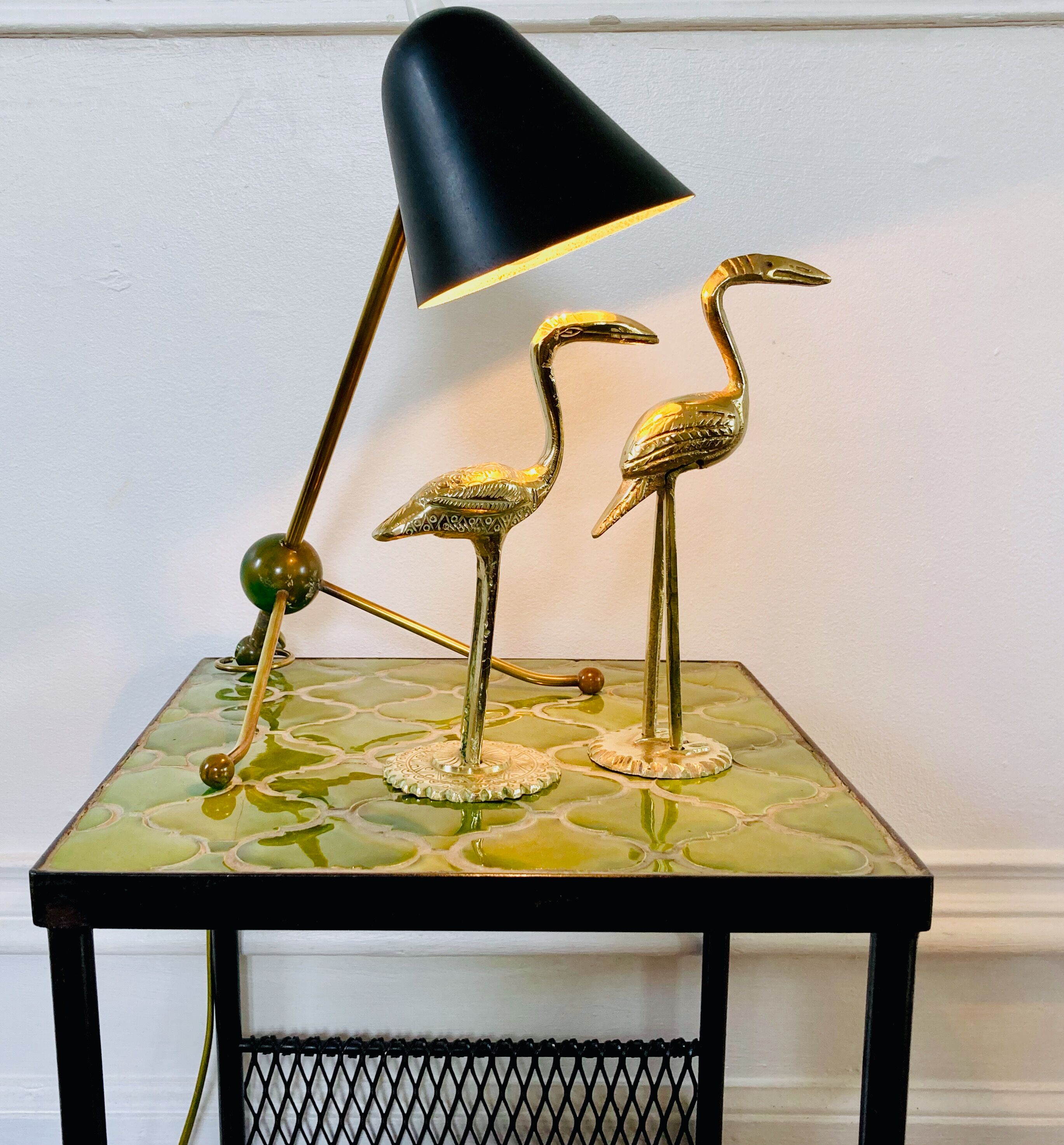 Couple of birds ibis or brass herons