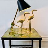 Couple of birds ibis or brass herons