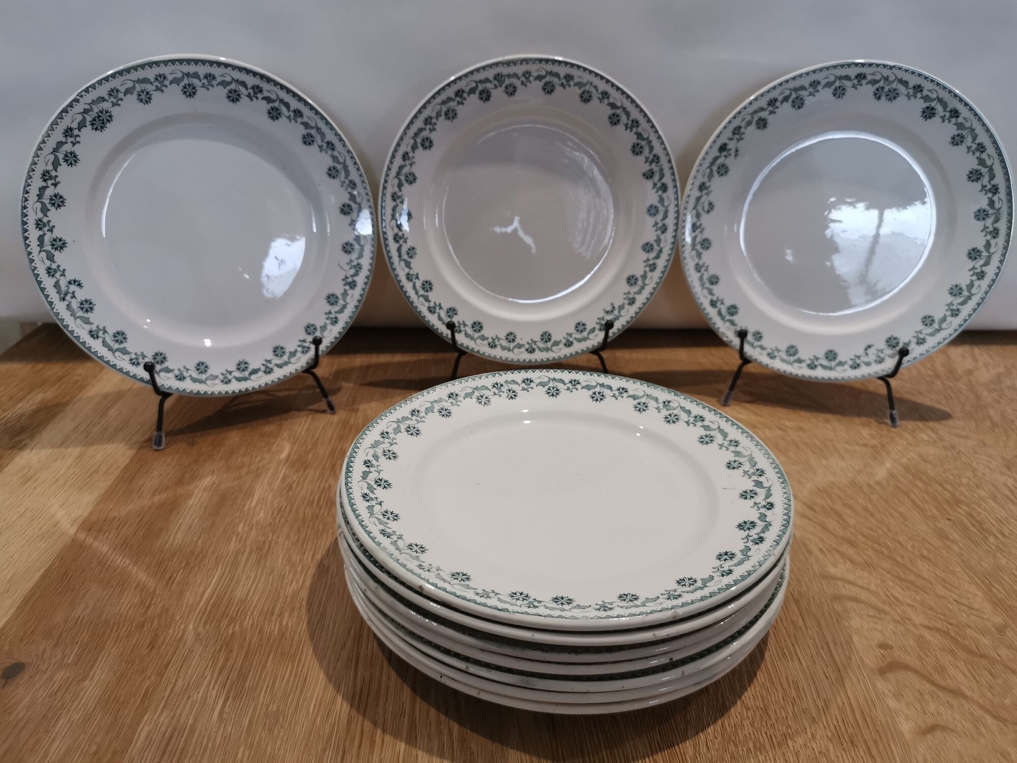Set of 10 semi-hollow plates iron earth Moulin des loups "Georgette"