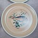 Set of 5 vintage Granville plates, fish design.