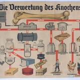 Displays "OS" published by Fröbel - Verlag Leipzig 1903