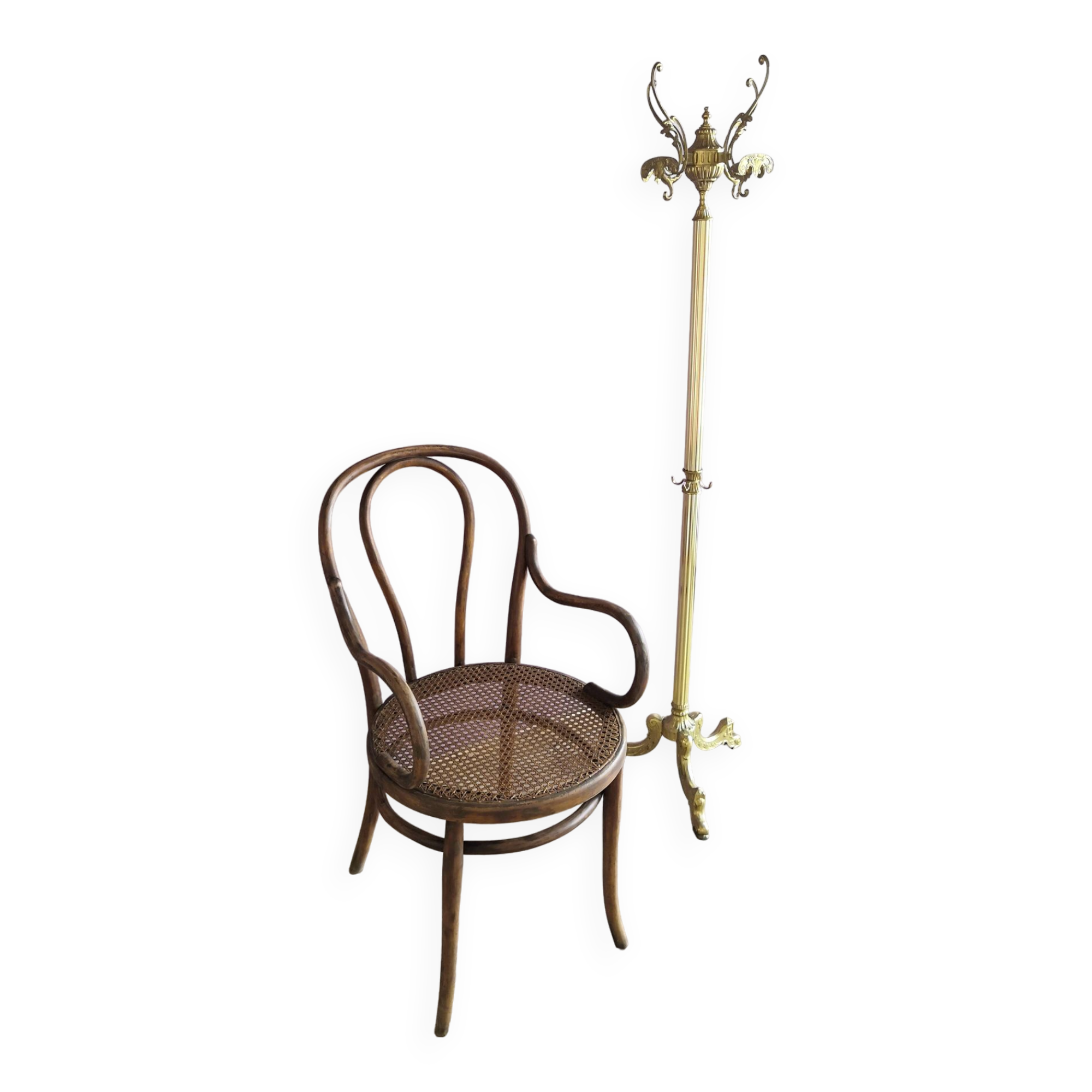 Thonet armchair in wood and cane, 1900