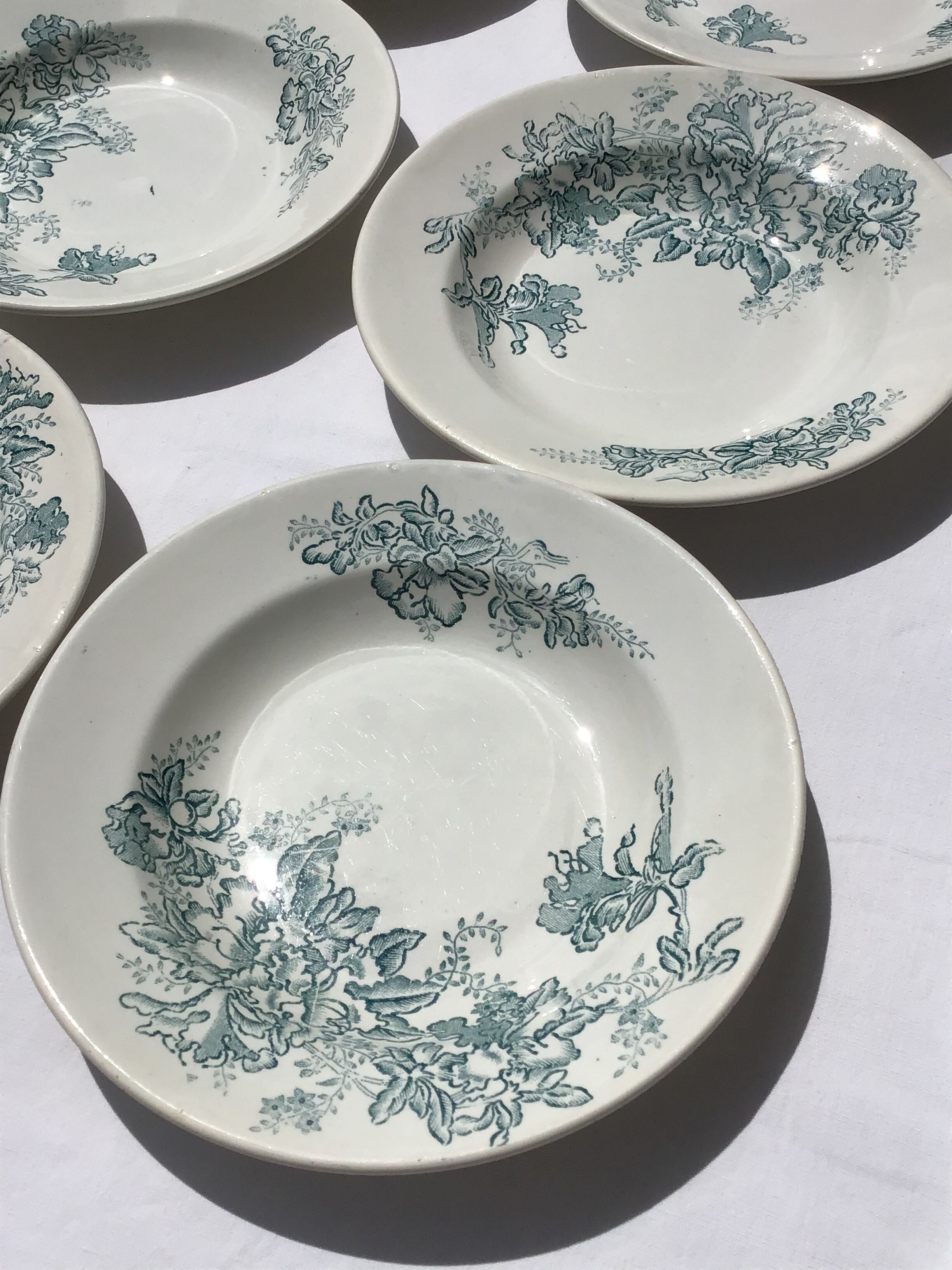6 hollow plates Faïencerie Nouvelle Givors Floréal
