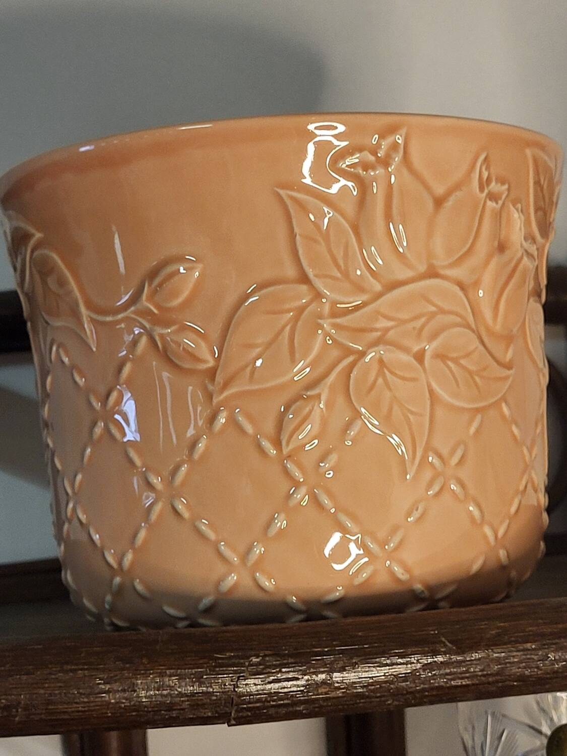 Apricot plant pot
