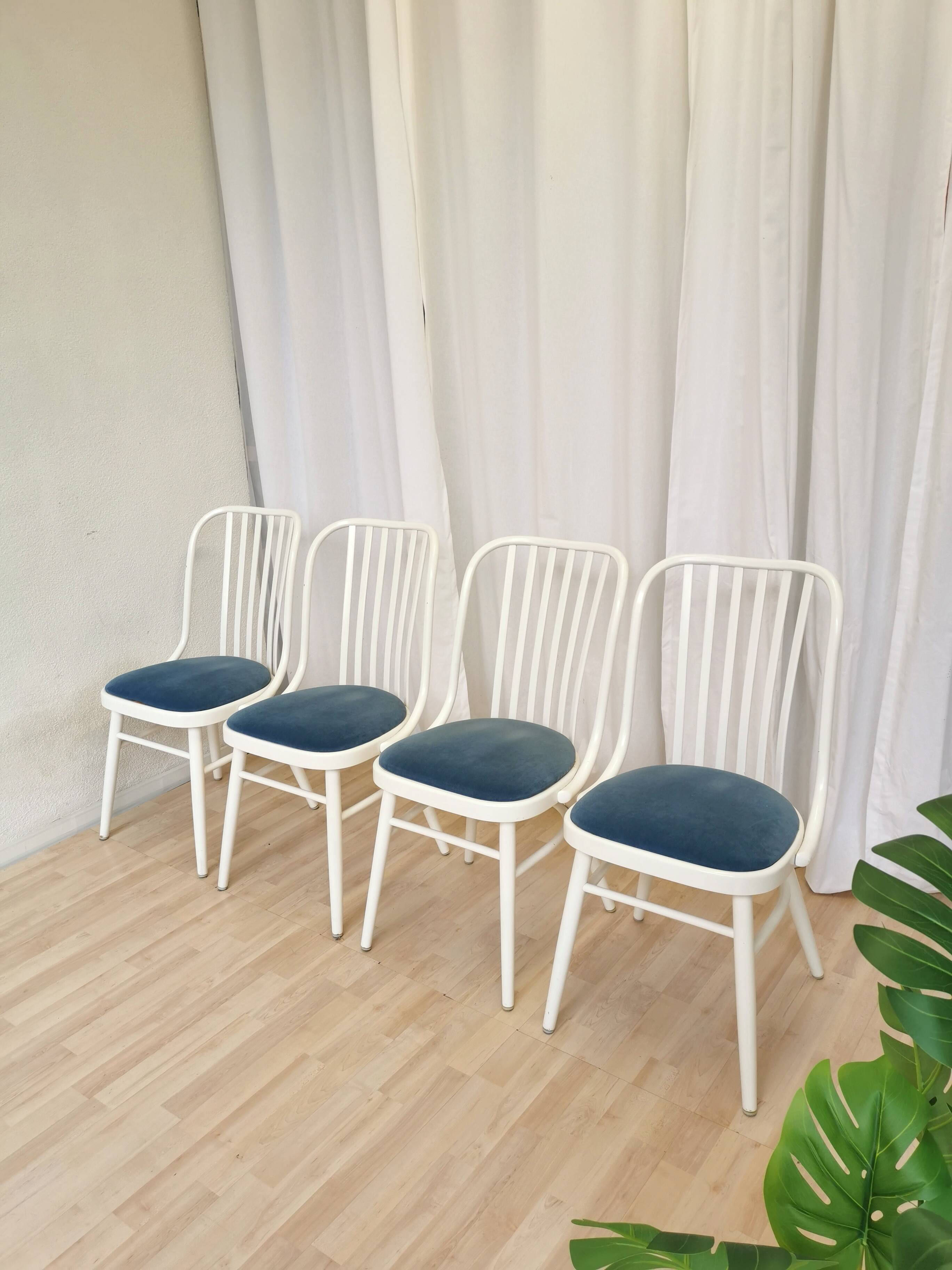 Set of 4 Vintage Bentwood White Dining Chairs in Ligna Style wit Blue Seat