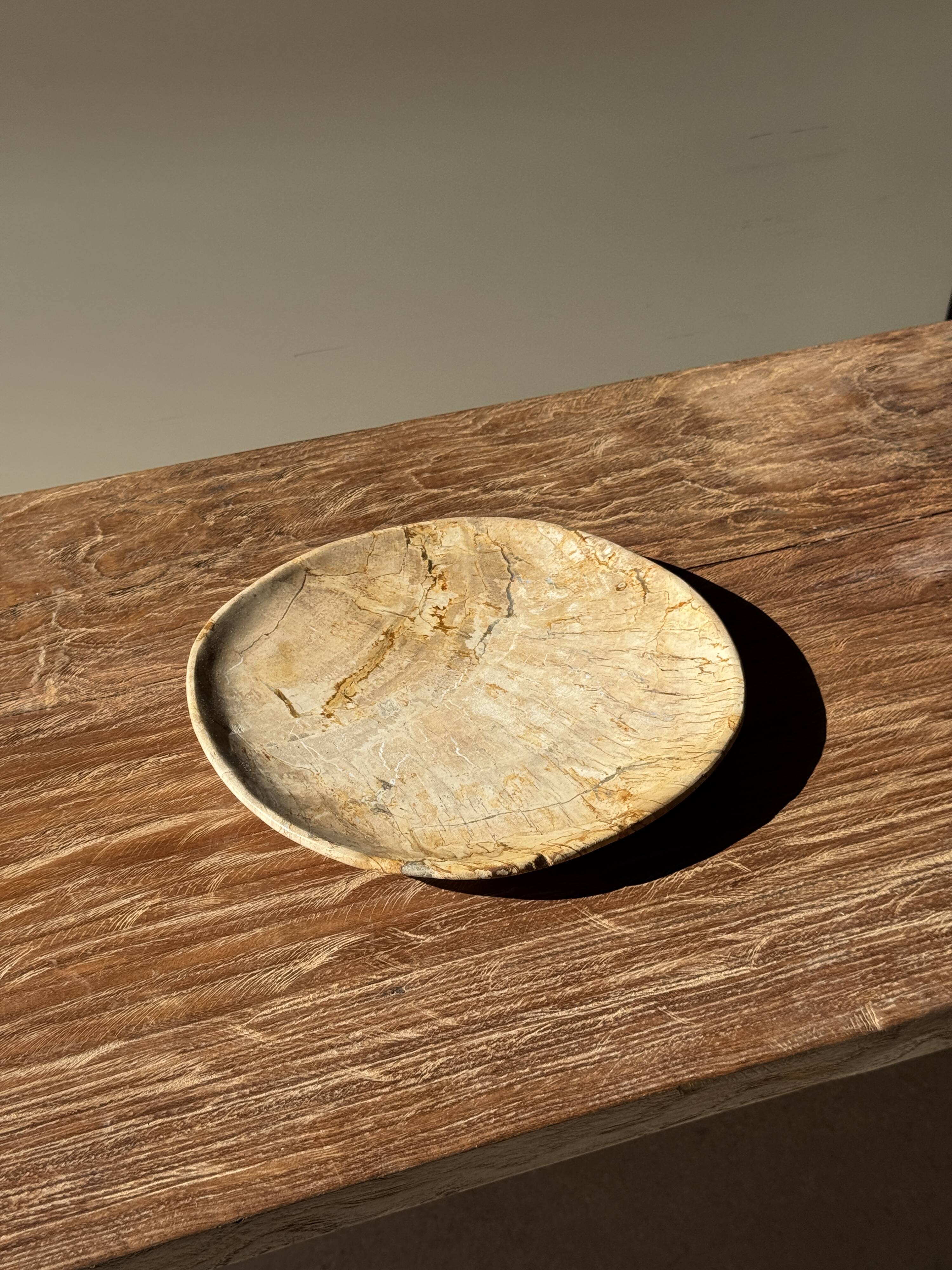 Small pocket tray or circular beige petrified wood dish D22.5-20 -3310
