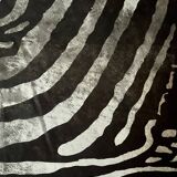 Genuine zebra print skin rug