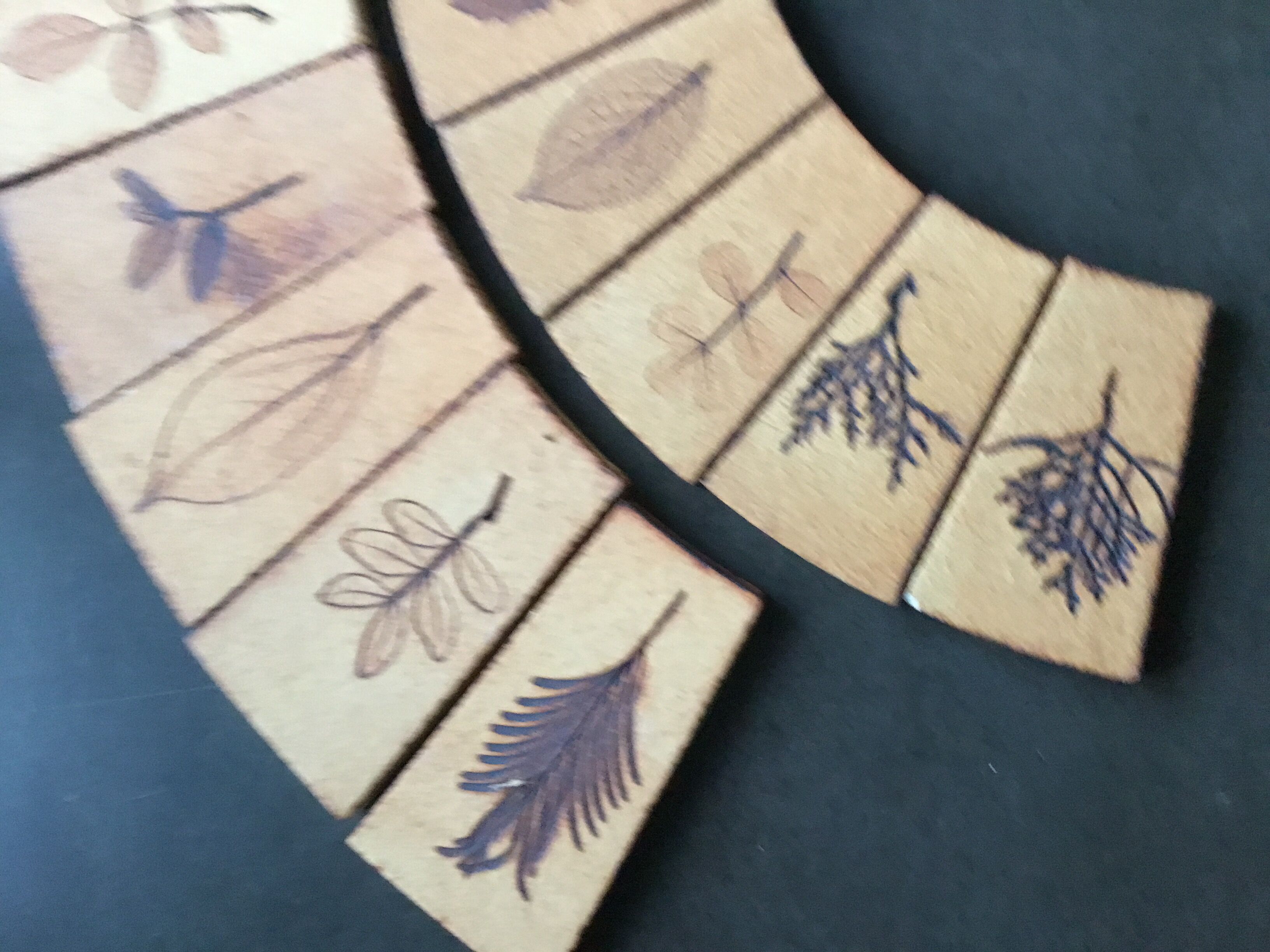 Carreaux herbier Roger Capron