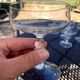 Set of 7 champagne glasses in crystal table art champagne cremant