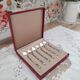 Lot de 6 cuillères à café en métal couleur argent dans leur coffret d'origine