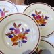 5 assiettes plates