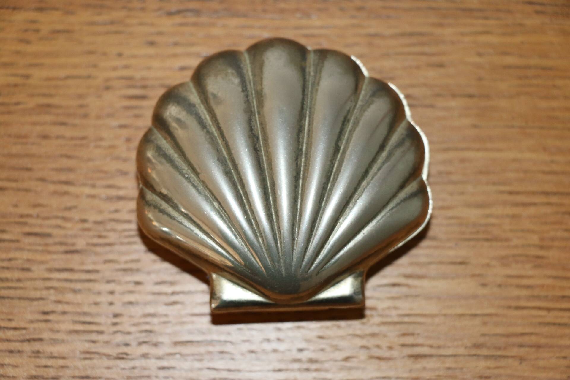 Pocket tray / scallop shell box