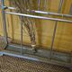 50s coat rack