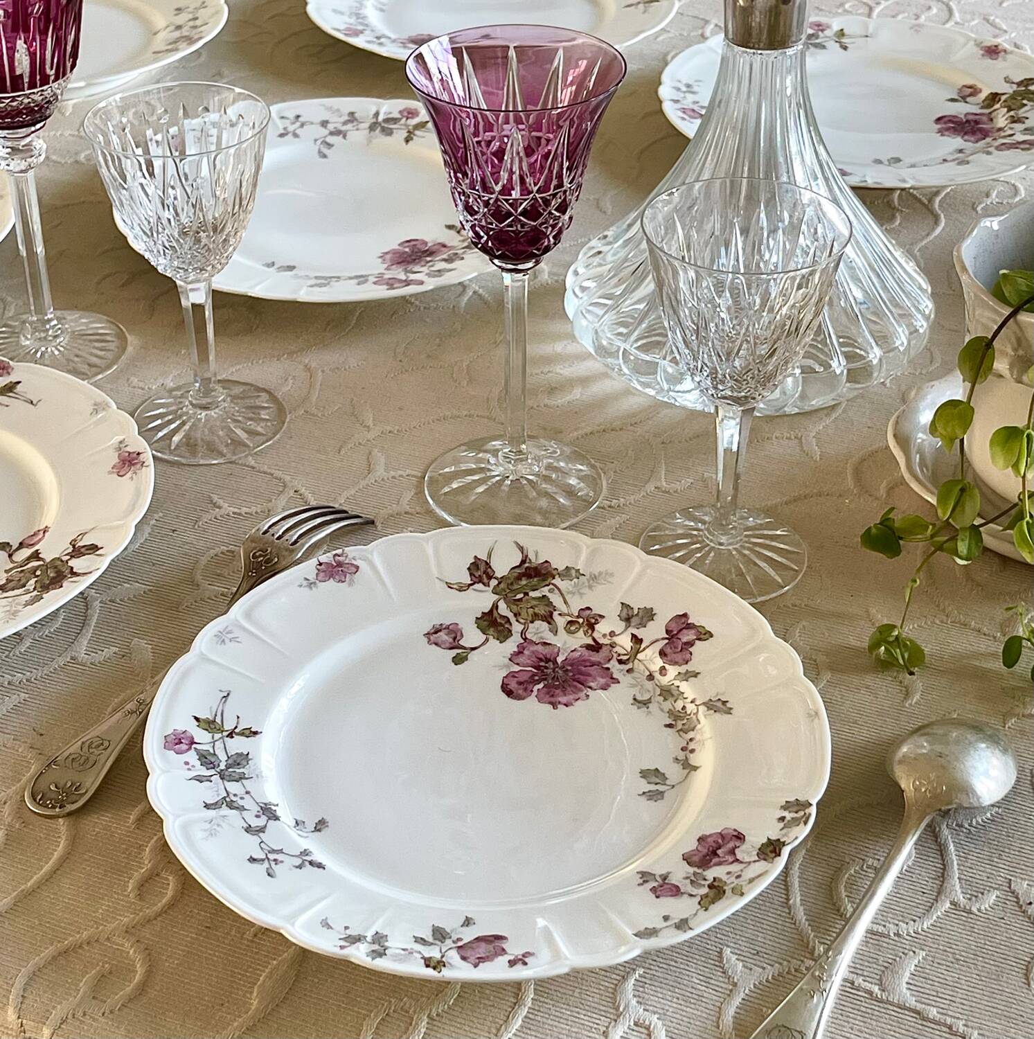 8 Haviland Limoges plates from the 19th century.