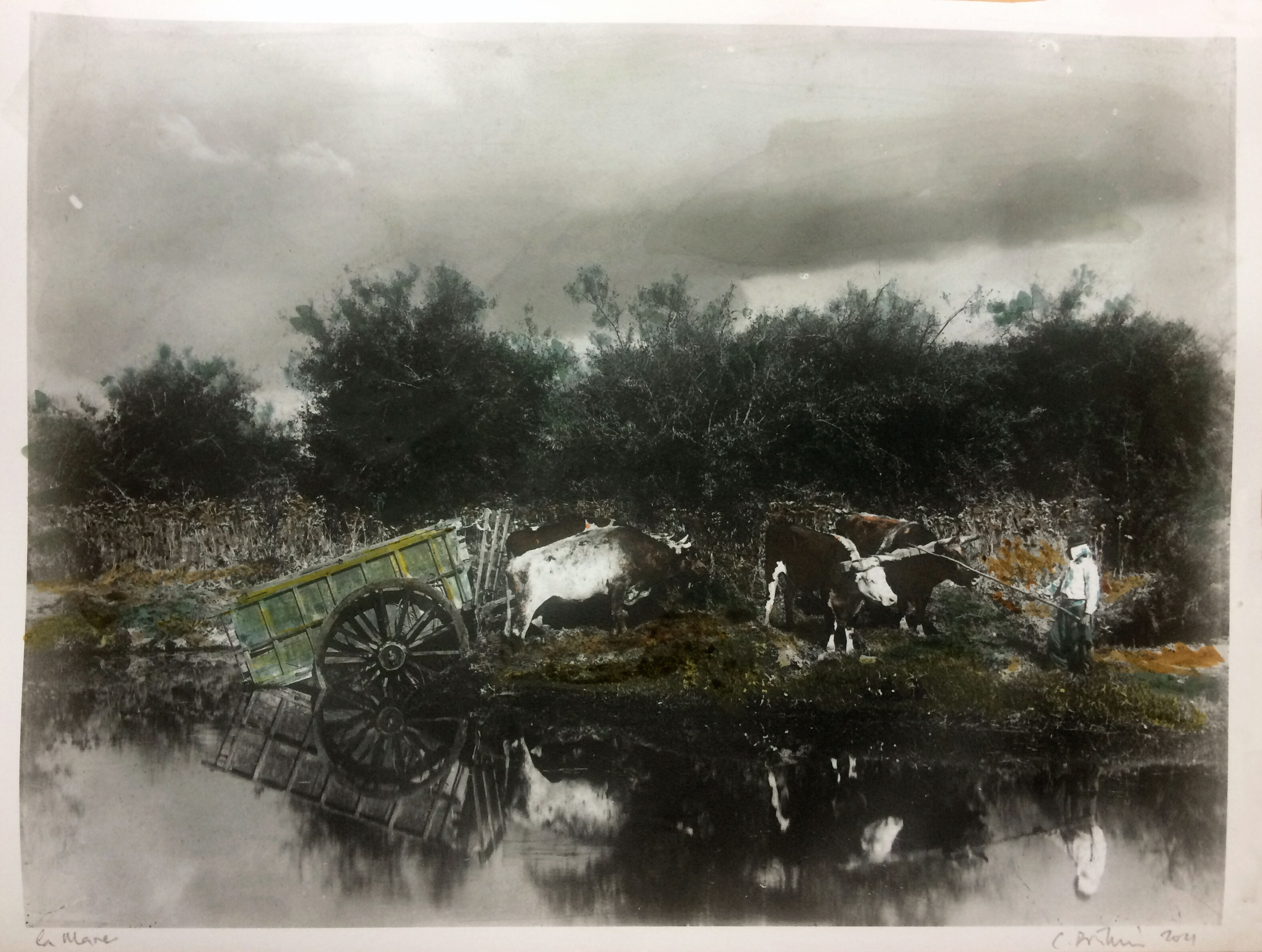 Photograph the Mare black and white print enhanced around 1900