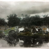 Photograph the Mare black and white print enhanced around 1900