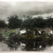 Photographie la Mare tirage noir et blanc rehaussé vers 1900
