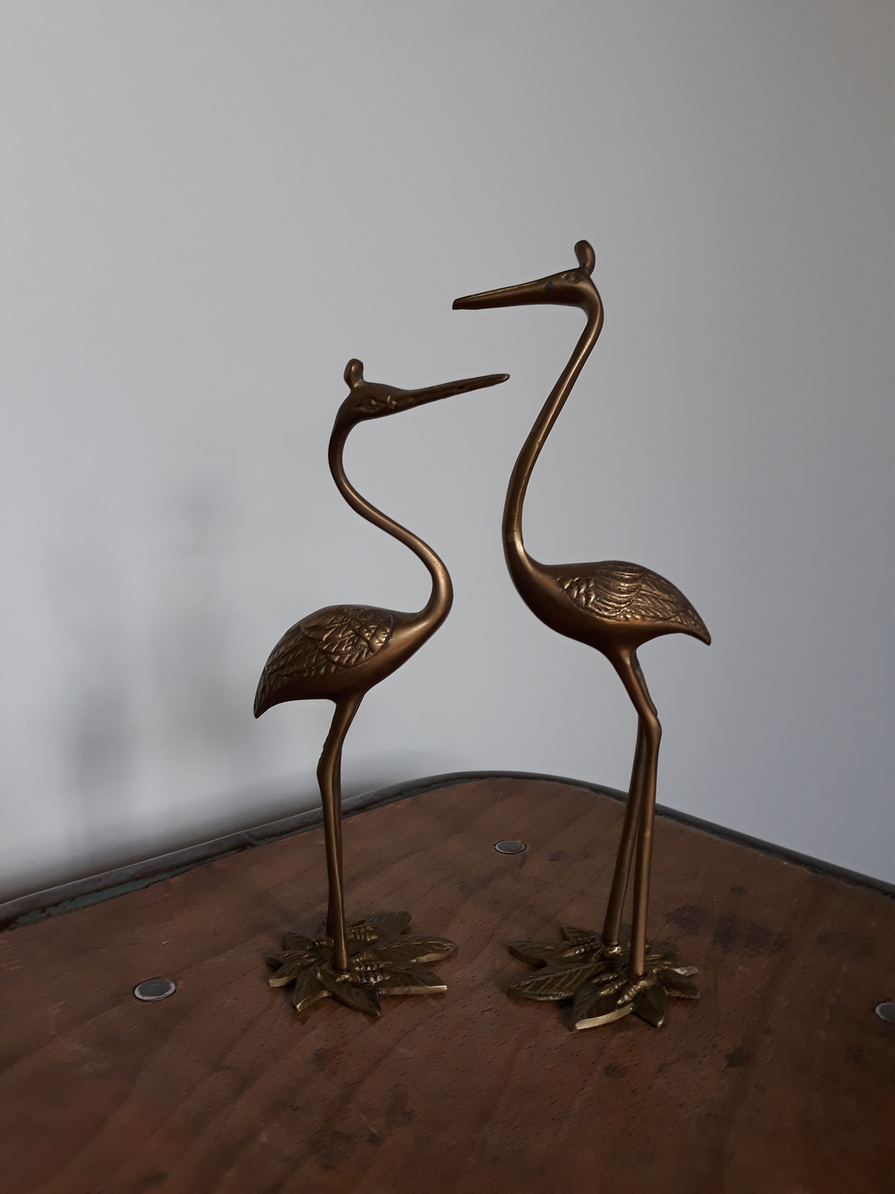 Herons or brass wader birds