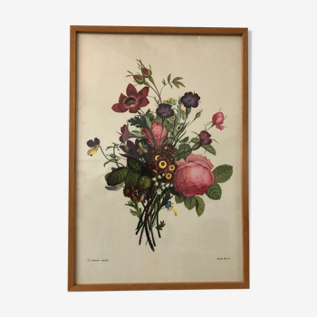 Planche botanique bouquet fleurs années 1940-50