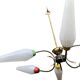 Vintage 6-arm pendant light from the 1960s