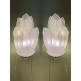 Set of Two Contemporary Venetian Sanded Glass Floreal Wall Sco