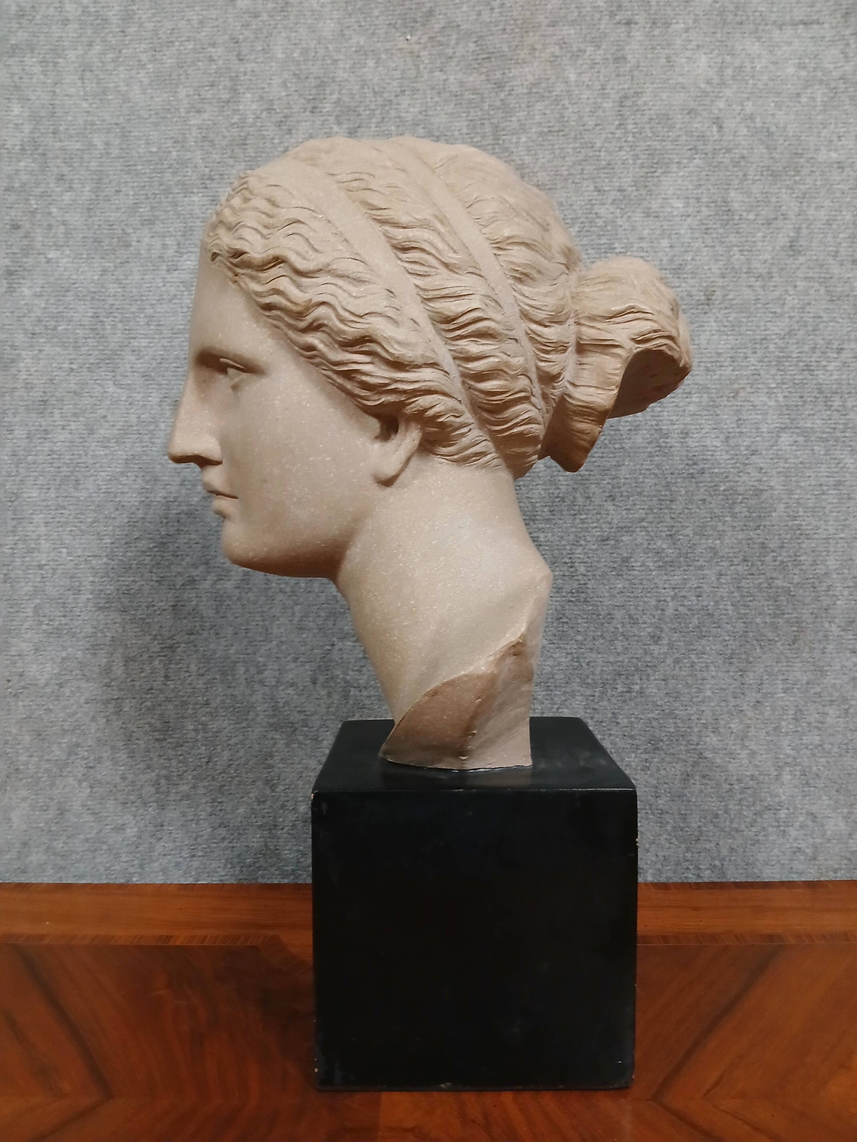 Rare terracotta sculpture depicting the Head of Aphrodite of Cnidus by Praxiteles
