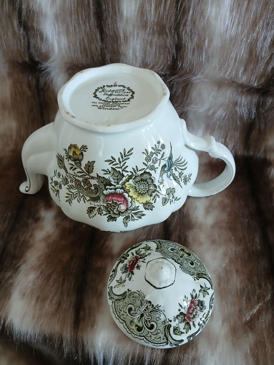 Ridgway Windsor English teapot
