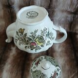 Ridgway Windsor English teapot