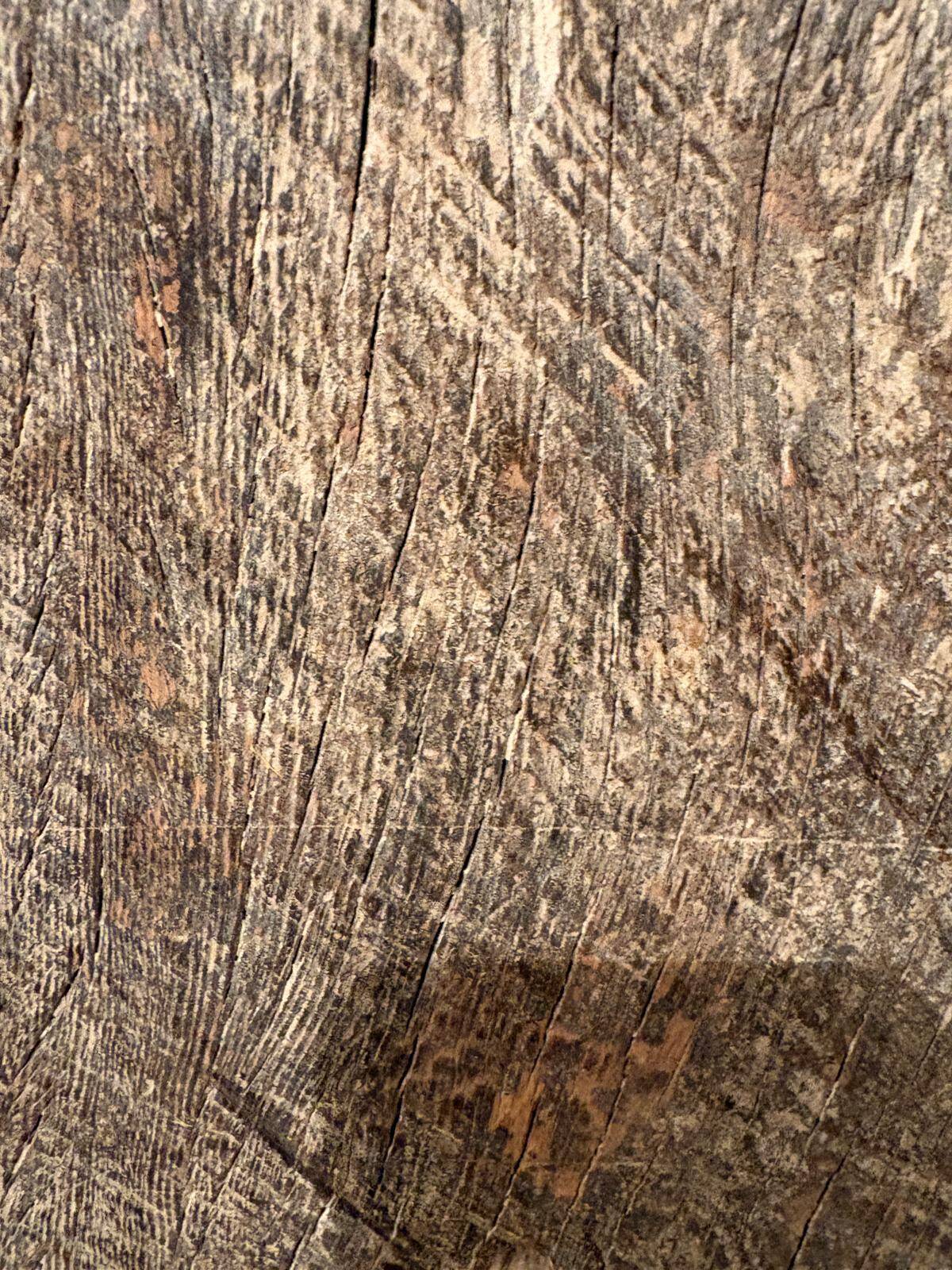 Ancient teak door from Orissa