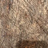 Ancient teak door from Orissa