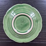 Small plate of cabbage in barbotine