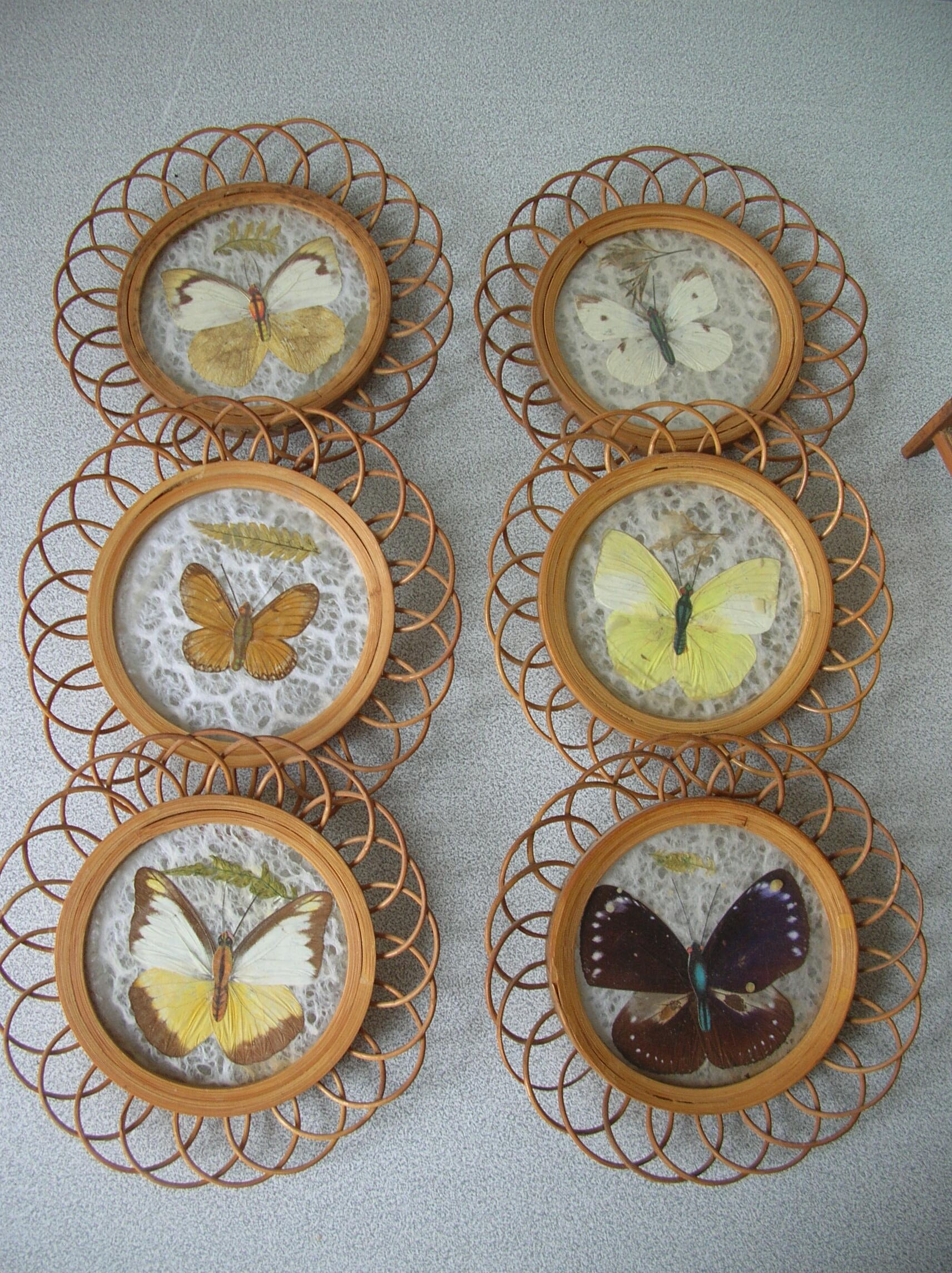 Ancien service de 6 dessous de verre papillon naturel serviteur en rotin bois années 1950/60