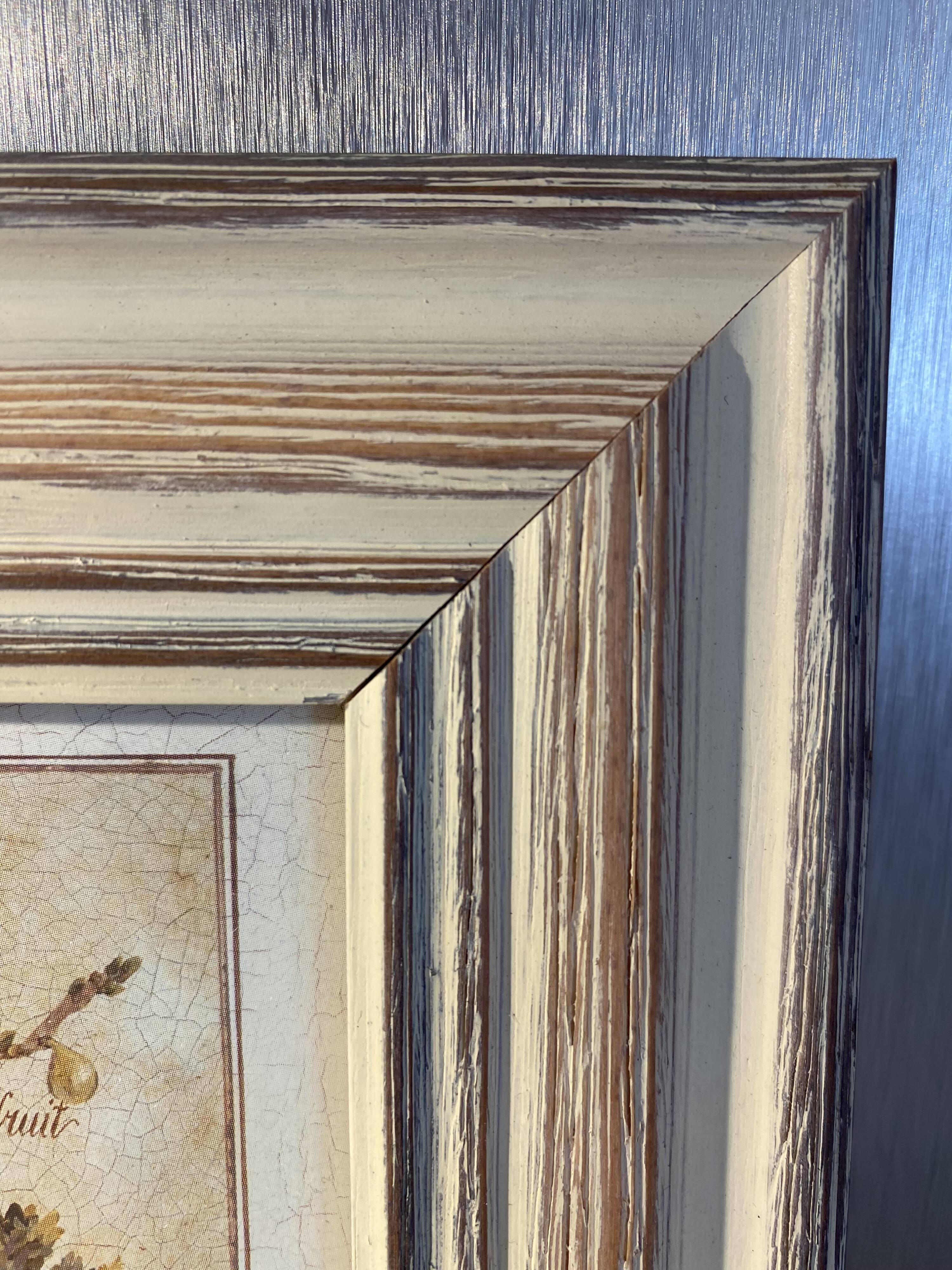 Botanical painting, fig tree of the south, XXI century