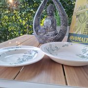 Old set of 2 terre de fer longwy dishes – bird and flower decoration