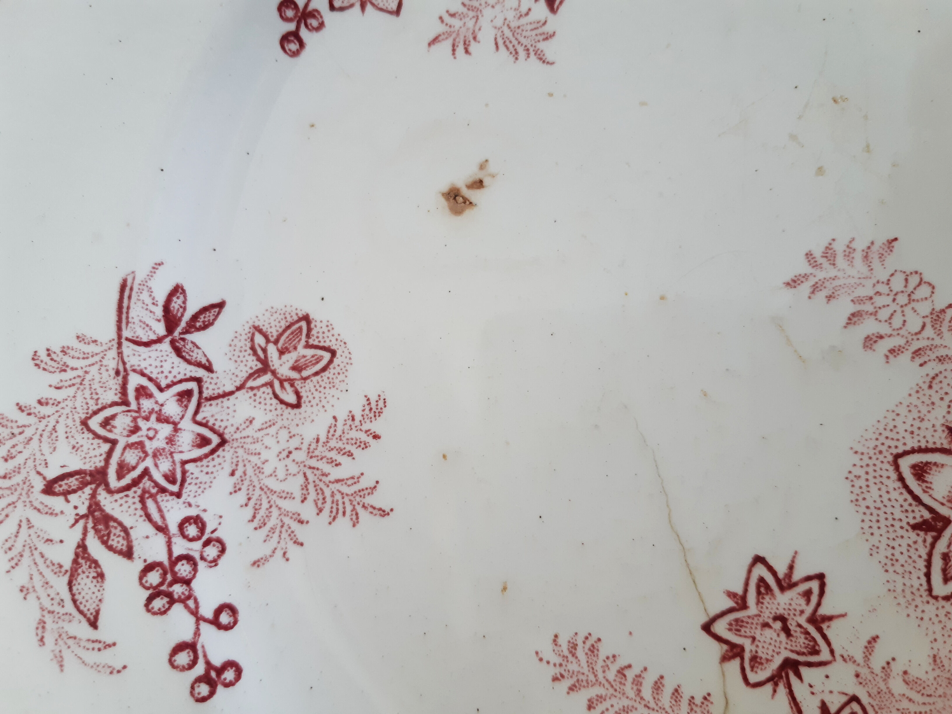 Flat plate in Amandinese earthenware model Margot