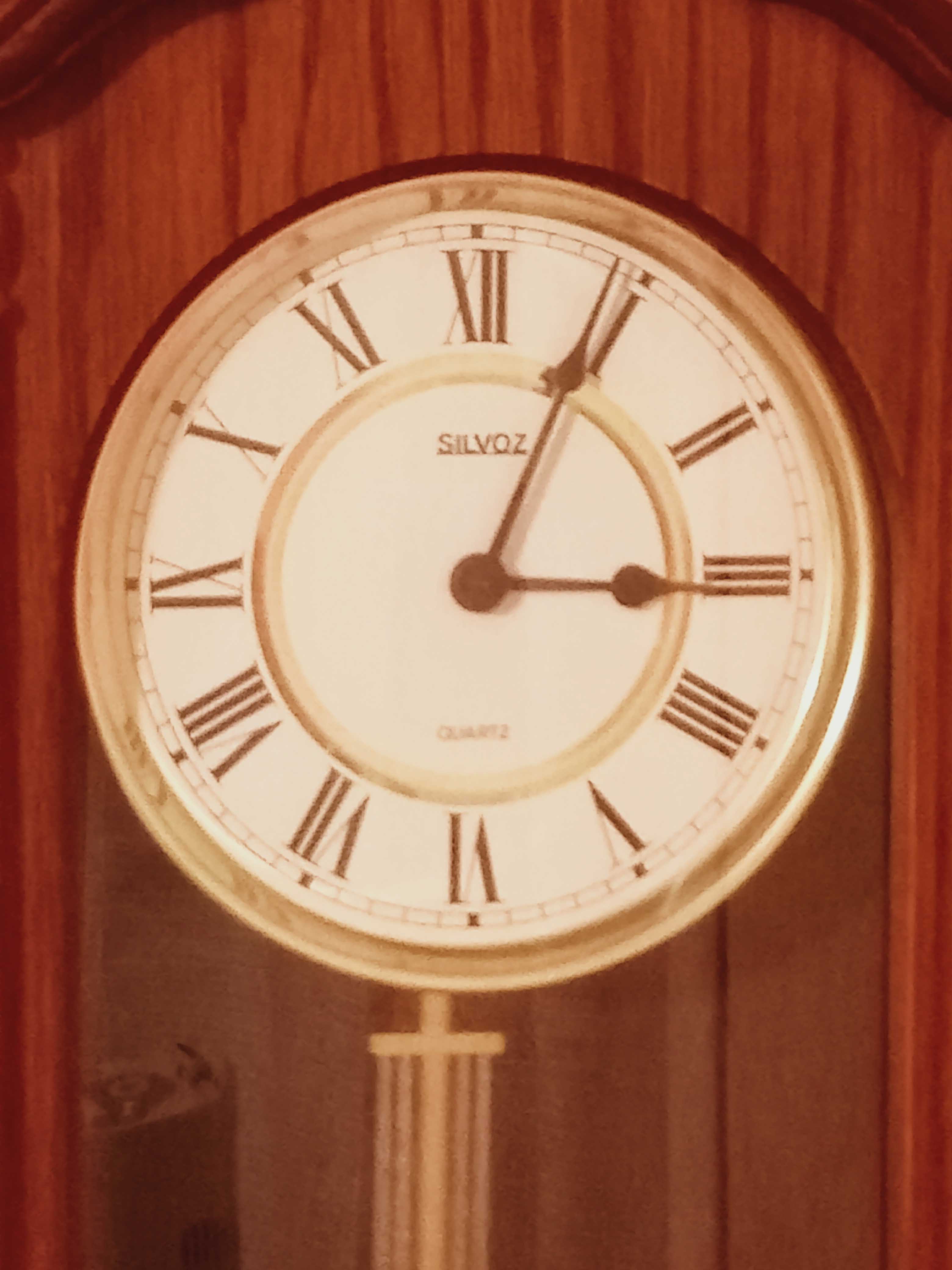 Silvoz pendulum wall pendulum clock (chime).