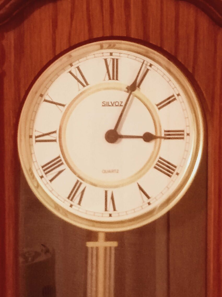 Horloge pendule murale à balancier (carillon) Silvoz. | Selency