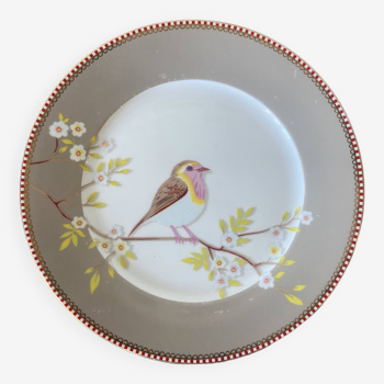 Assiette à dessert en porcelaine anglaise, décor oiseau